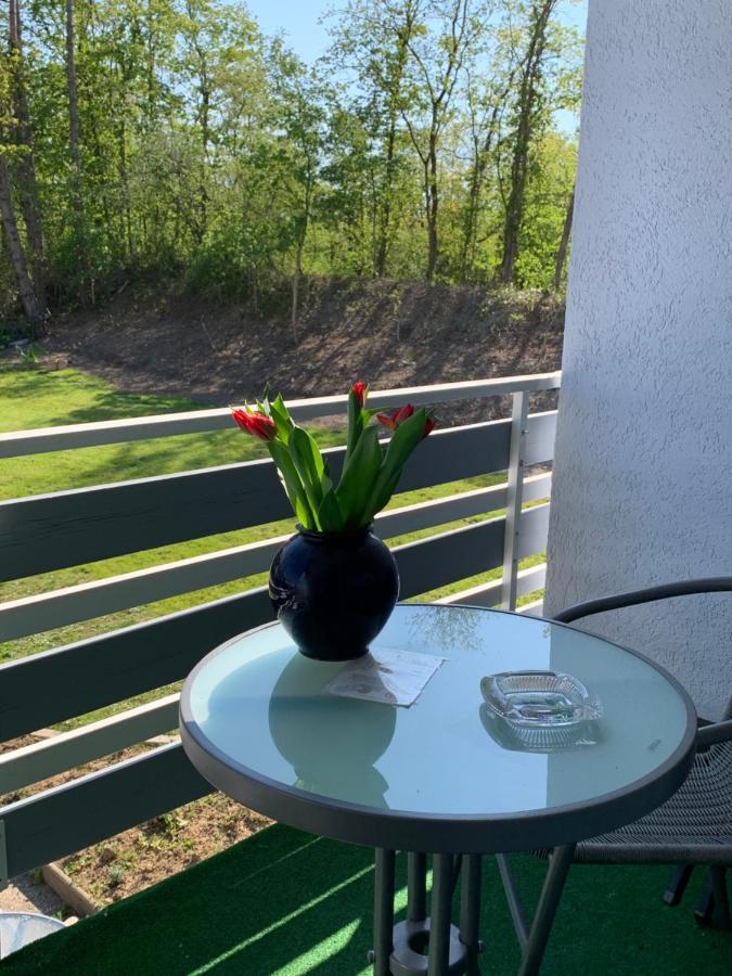 Hotel Markgraf Bad Bellingen Eksteriør bilde